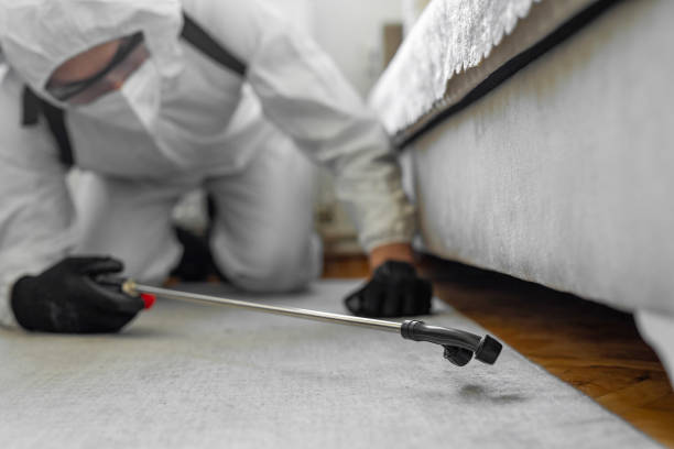 Professional Pest Control technician working in Allendale, CA