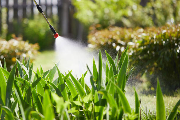 24/7 Emergency Pest Control experts in Allendale, CA